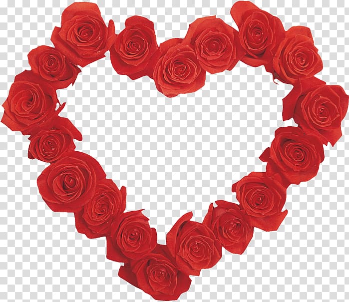 Garden roses Heart Valentine\'s Day , FCB transparent background PNG ...