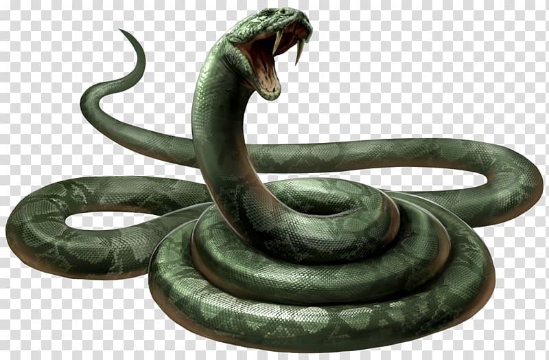 green cobra art, Lord Voldemort Harry Potter Professor Severus Snape Snake Neville Longbottom, anaconda transparent background PNG clipart
