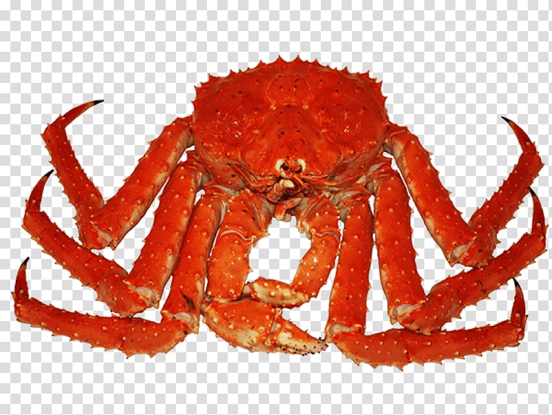Red king crab Decapoda, crab transparent background PNG clipart