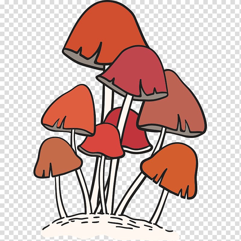 Edible mushroom Fungus Euclidean Food, mushroom,fungus transparent background PNG clipart