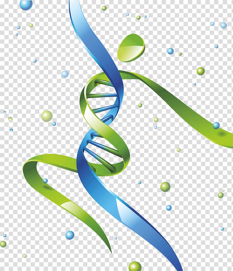 DNA Nucleic acid double helix Gene Homo sapiens, pills transparent background PNG clipart