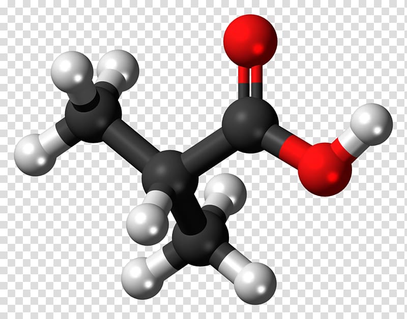 Valeric acid 2-Ethylhexanoic acid Amino acid, others transparent background PNG clipart