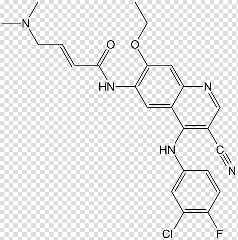 Epidermal growth factor receptor pelitinib Enzyme inhibitor Signal transduction Reaction inhibitor, vegf receptor transparent background PNG clipart