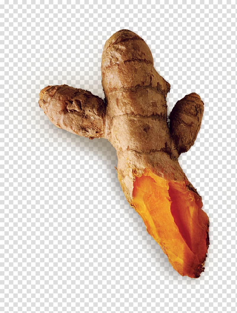 Galangal, turmeric starch transparent background PNG clipart