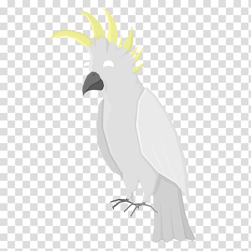 Cockatoo Macaw Beak Feather Vulture, feather transparent background PNG clipart