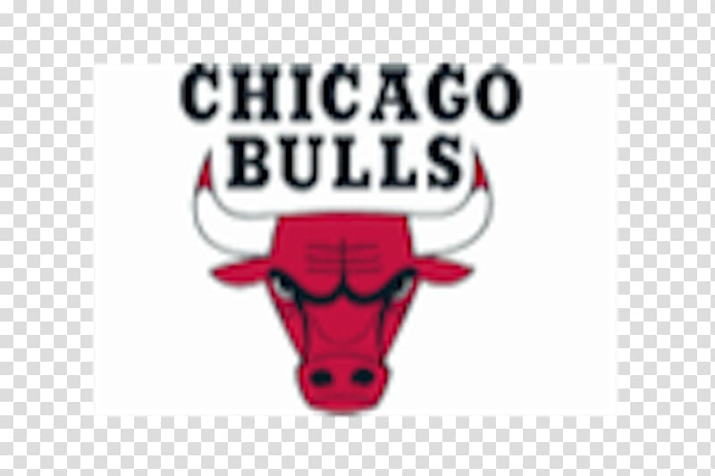 Chicago Bulls Denver Nuggets NBA Basketball Sport, nba transparent background PNG clipart