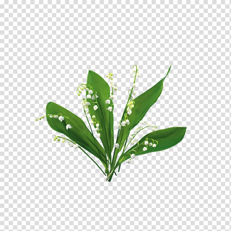Blog , watercolor green greenery laurel transparent background PNG clipart