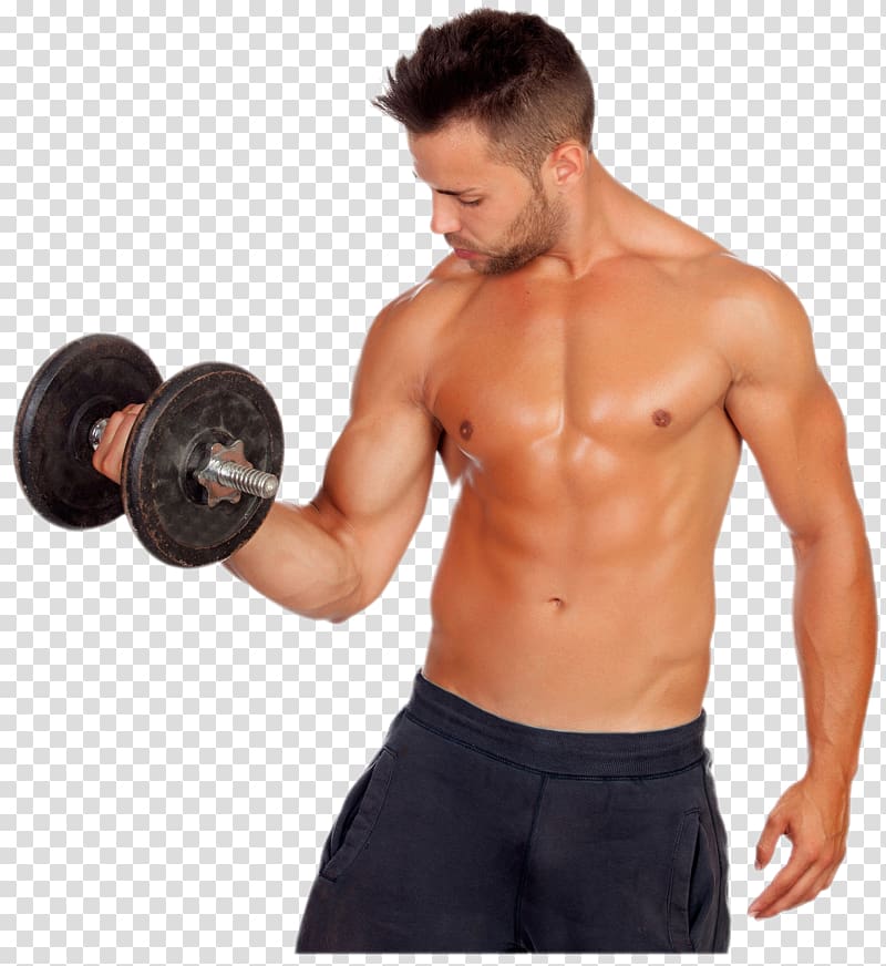 Fitness transparent background PNG clipart