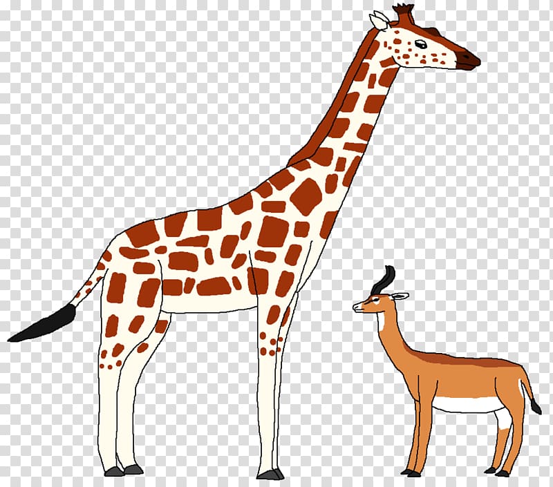 Giraffe East African lion Serengeti Ungulate African wild dog, giraffe transparent background PNG clipart