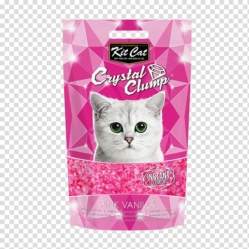 Cat Litter Trays Dog Pet Shop, Cat pink transparent background PNG clipart