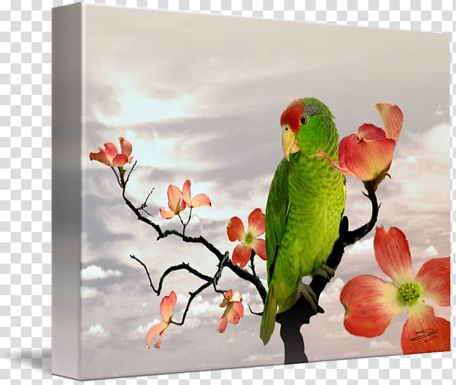 Lovebird Parakeet Macaw Painting Fauna, painting transparent background PNG clipart