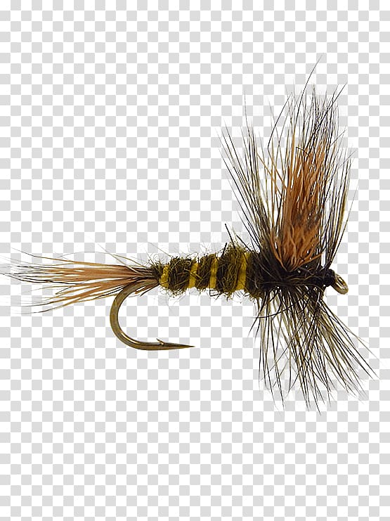 Artificial fly Fly fishing Royal Coachman Emergers, Fishing transparent background PNG clipart