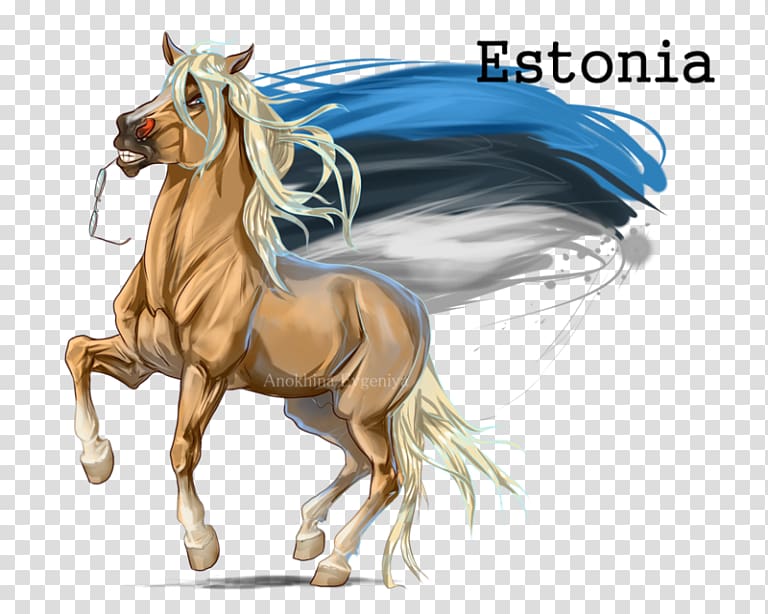 Mane Pony Mustang Stallion Estonian horse, mustang transparent background PNG clipart