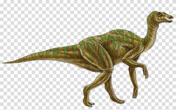 Hadrosaurus Jaxartosaurus Late Cretaceous Spinosaurus Indosaurus, dinosaur transparent background PNG clipart