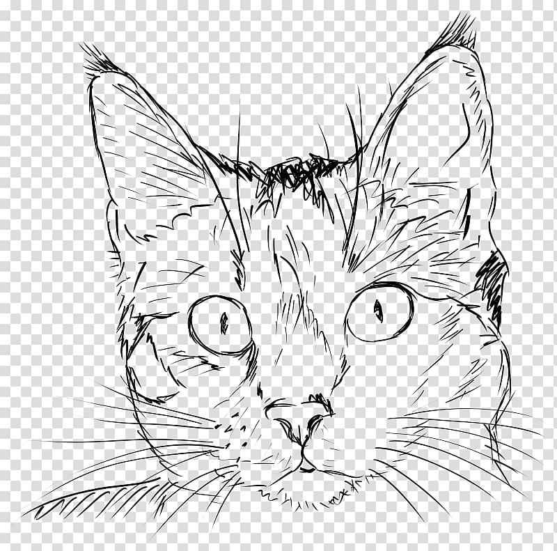 Cat Kitten Drawing , Cat transparent background PNG clipart