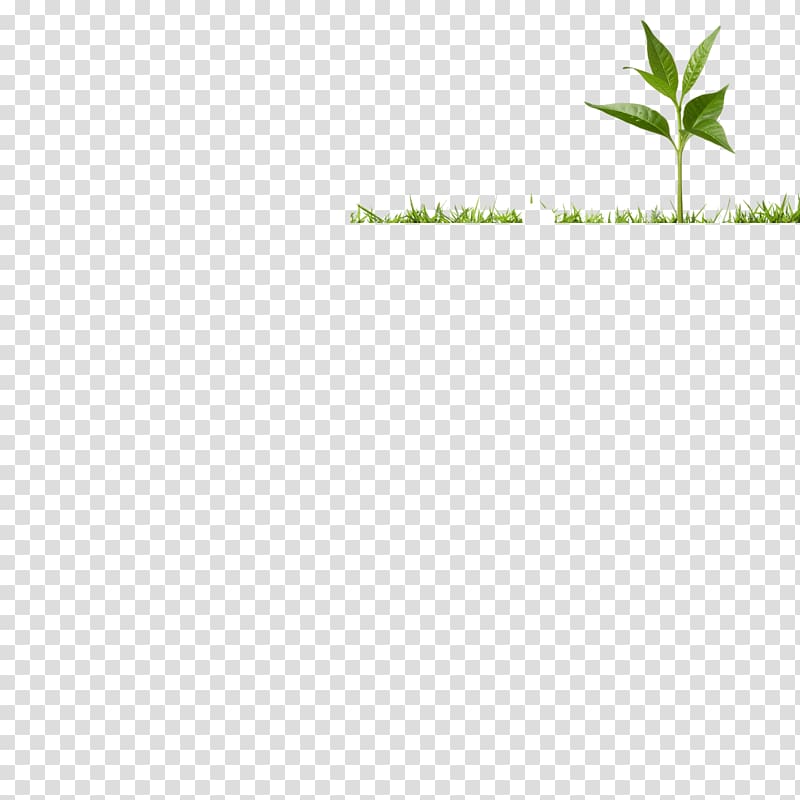 Leaf Grasses Plant stem, Soil Profile transparent background PNG clipart