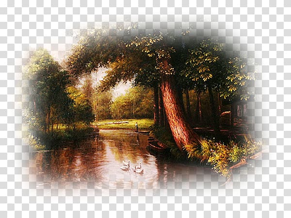 Nature Bayou If(we) Tagged Landscape, MANZARA transparent background PNG clipart
