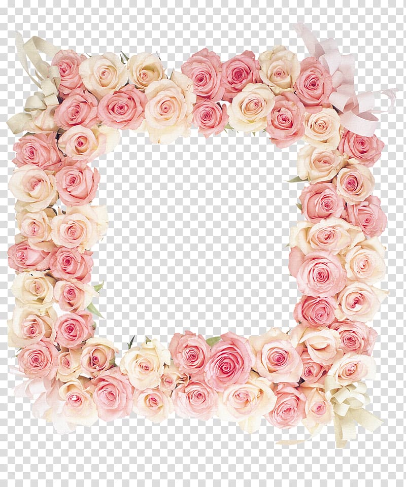 square pink and beige floral frame, frame Flower, Pink Rose Frame transparent background PNG clipart