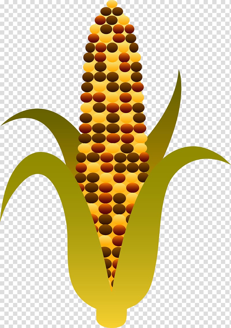 Candy corn Corn on the cob Maize Sweet corn , Fall Corn transparent background PNG clipart