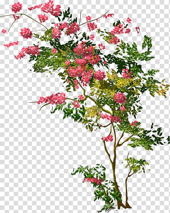 Tree Shrub Floral design , tree transparent background PNG clipart