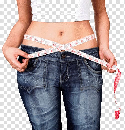 Weight loss Weight management Human body weight Dieting Exercise, others transparent background PNG clipart