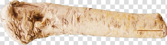 Horseradish transparent background PNG clipart
