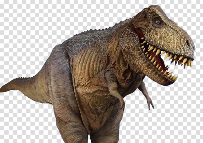 Tyrannosaurus Spinosaurus, t-rex transparent background PNG clipart