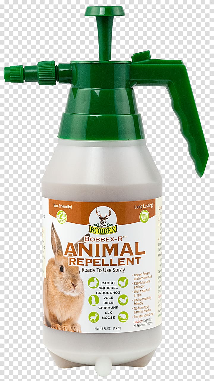Household Insect Repellents Animal repellent Squirrel Pest Control Groundhog, squirrel transparent background PNG clipart