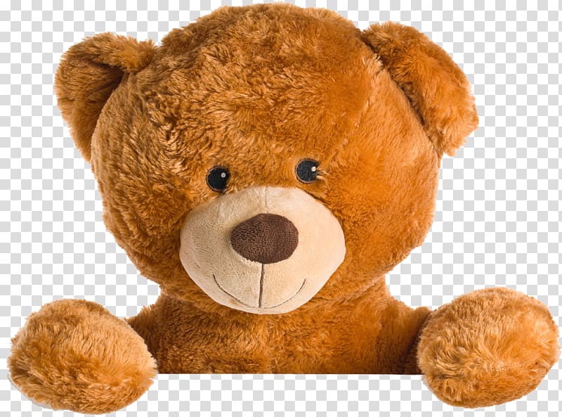 big teddy bear png