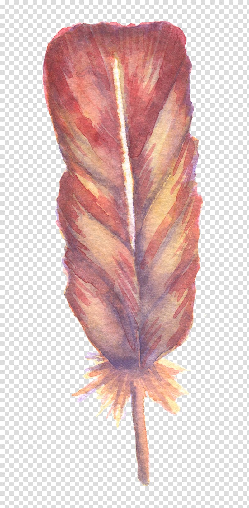 Watercolor: Flowers Watercolor painting Feather, Super beautiful fresh Sen Department watercolor feather transparent background PNG clipart