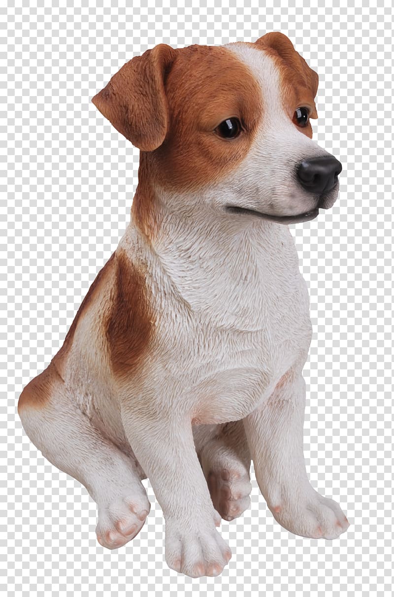 Jack Russell Terrier Parson Russell Terrier Dog breed Miniature Fox Terrier Tenterfield Terrier, puppy transparent background PNG clipart