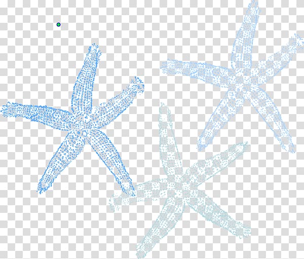 Starfish Marine invertebrates Echinoderm Organism, sea star transparent background PNG clipart