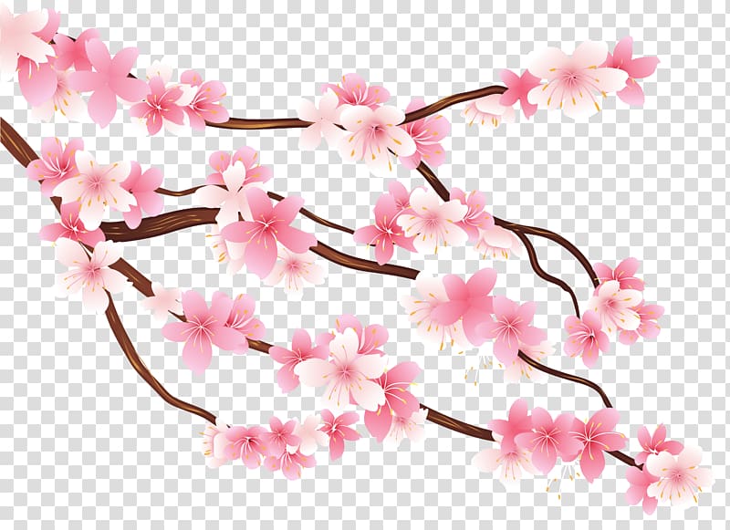Diagram Branch , Pink Spring Branch , pink cherry blossom transparent background PNG clipart