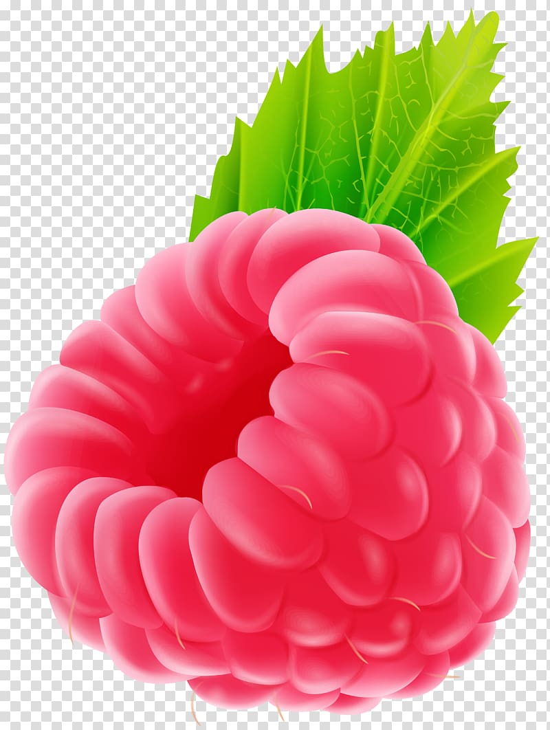 Raspberry Fruit , rasberry transparent background PNG clipart