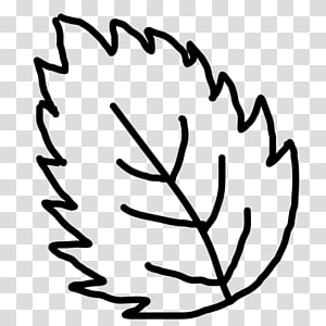 Leaf Drawing , Leaf transparent background PNG clipart thumbnail