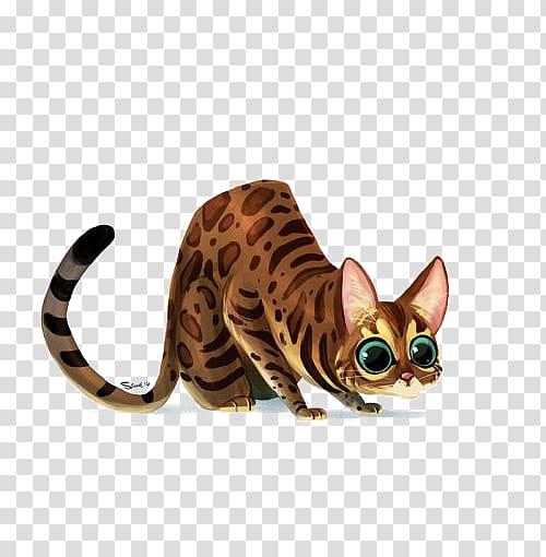 Bengal cat Ocicat Sphynx cat Ragdoll Kitten, Cartoon cat transparent background PNG clipart