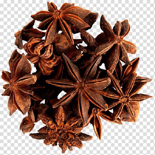 Spice Star anise Cinnamomum verum Herb, spice transparent background PNG clipart