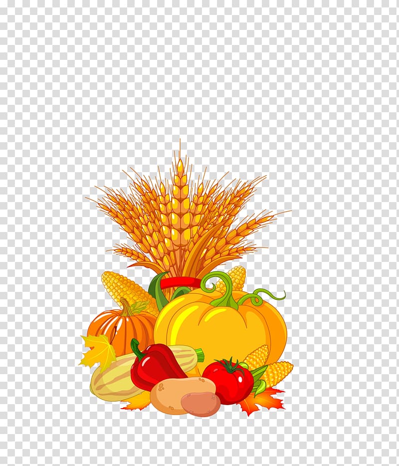 Autumn Harvest festival , Vegetable harvest transparent background PNG clipart