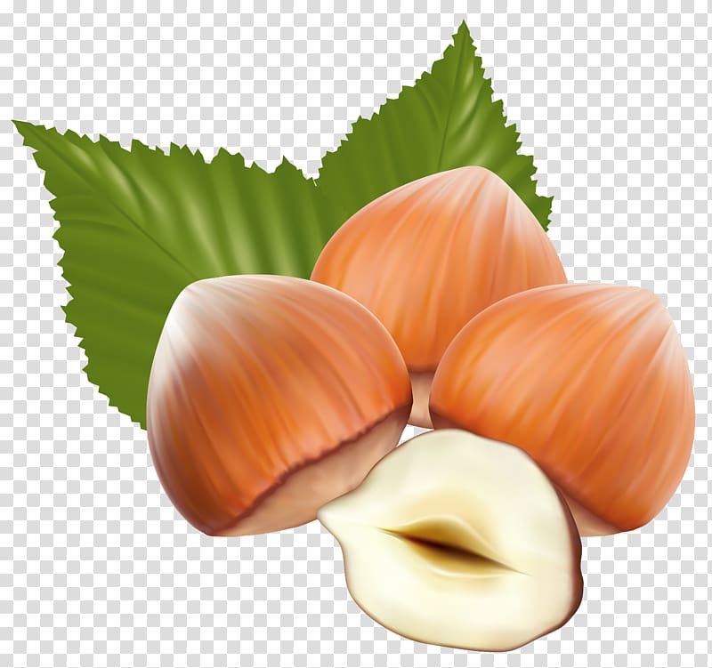 Hazelnut , pistachios transparent background PNG clipart