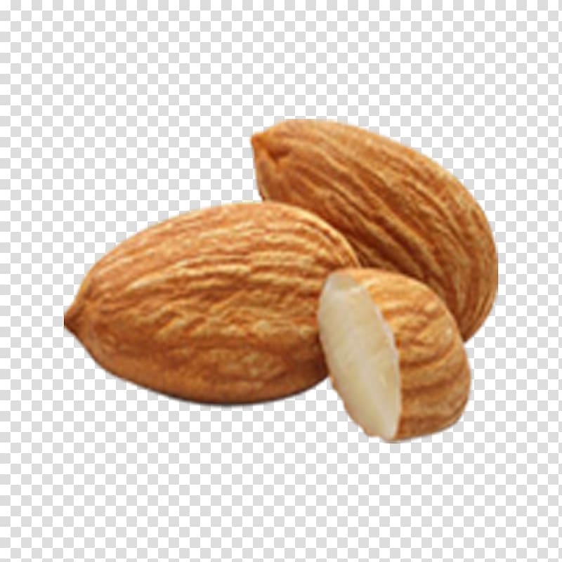 Almond Amygdalin Nut Apricot kernel Seed, Peeled almonds transparent background PNG clipart