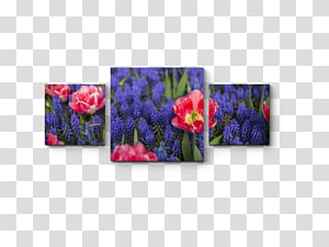 Petal Floral design Rectangle Flower, design transparent background PNG clipart thumbnail