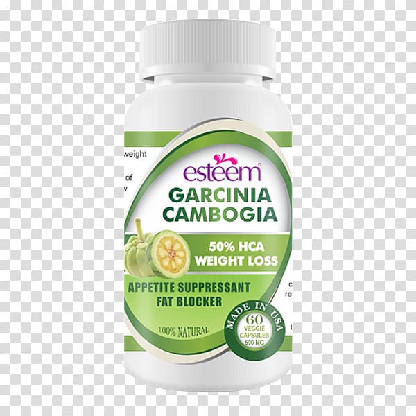 Dietary supplement Garcinia gummi-gutta Raspberry ketone Hydroxycitric acid Weight loss, Garcinia Cambogia transparent background PNG clipart