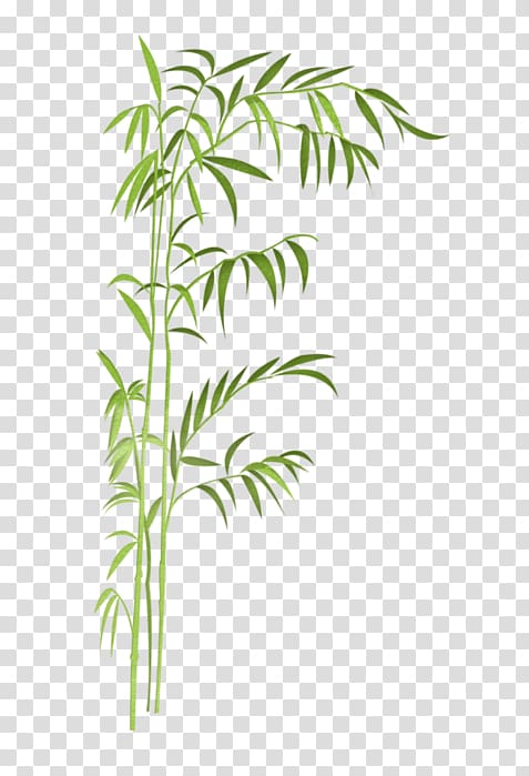 Tropical woody bamboos Grass Poetry 十三棍僧救唐王 Beixin Experimental Primary School of Chengdu, others transparent background PNG clipart