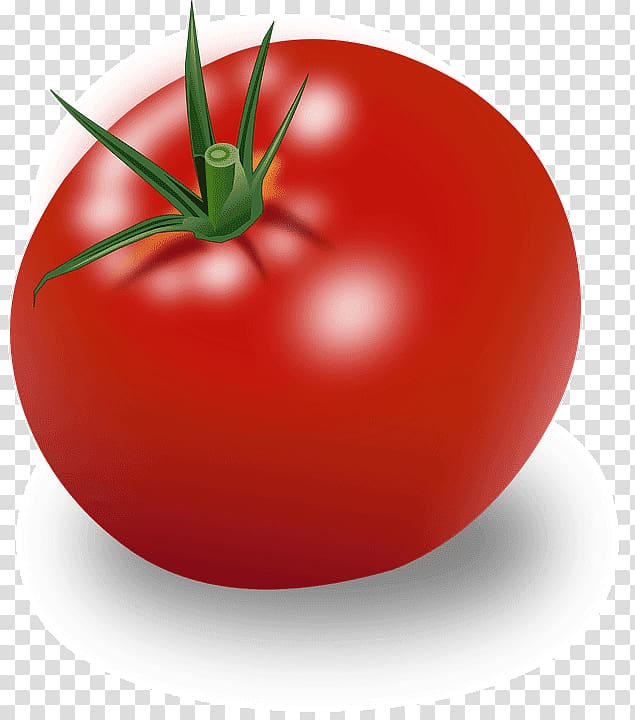Hamburger Cherry tomato Ripening Vegetable , vegetable transparent background PNG clipart