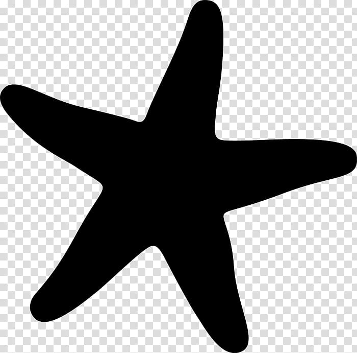 Starfish Marine invertebrates , sea star transparent background PNG clipart