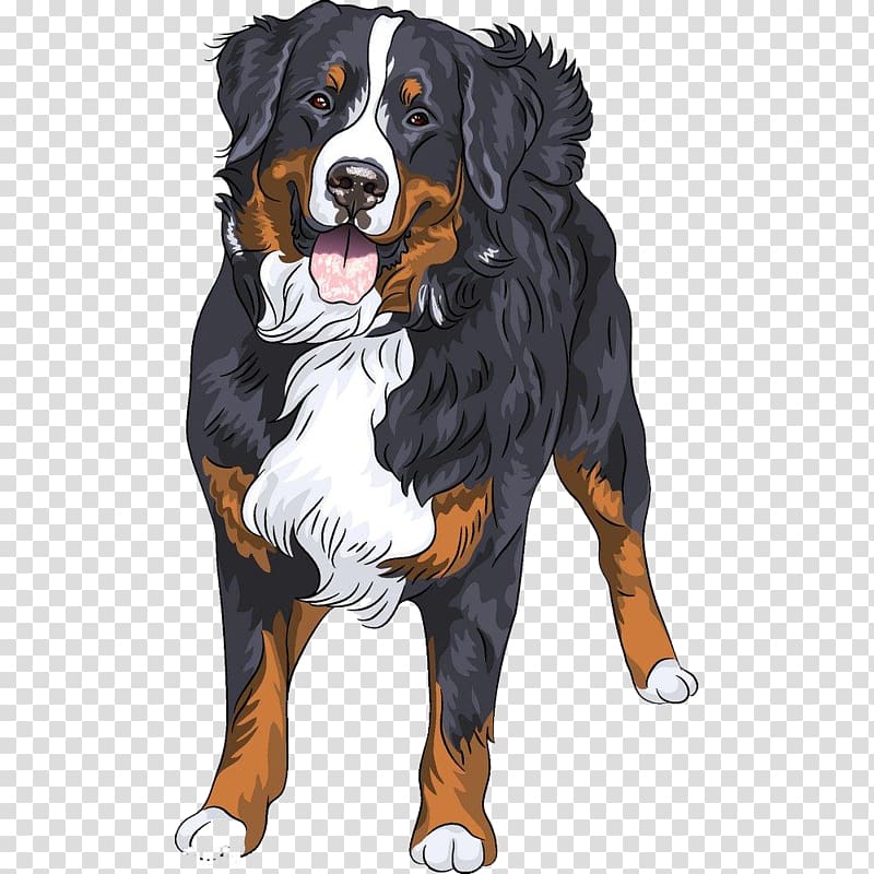 adult white, black, and brown Bernese mountain dog, Bernese Mountain Dog Australian Shepherd German Shepherd Puppy Dog breed, Hand-painted cartoon cute puppy material transparent background PNG clipart