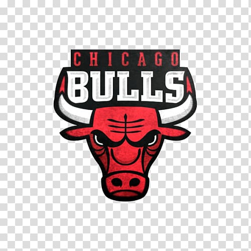 Chicago Bulls NBA Embroidered patch Sport Logo, cara delevingne transparent background PNG clipart
