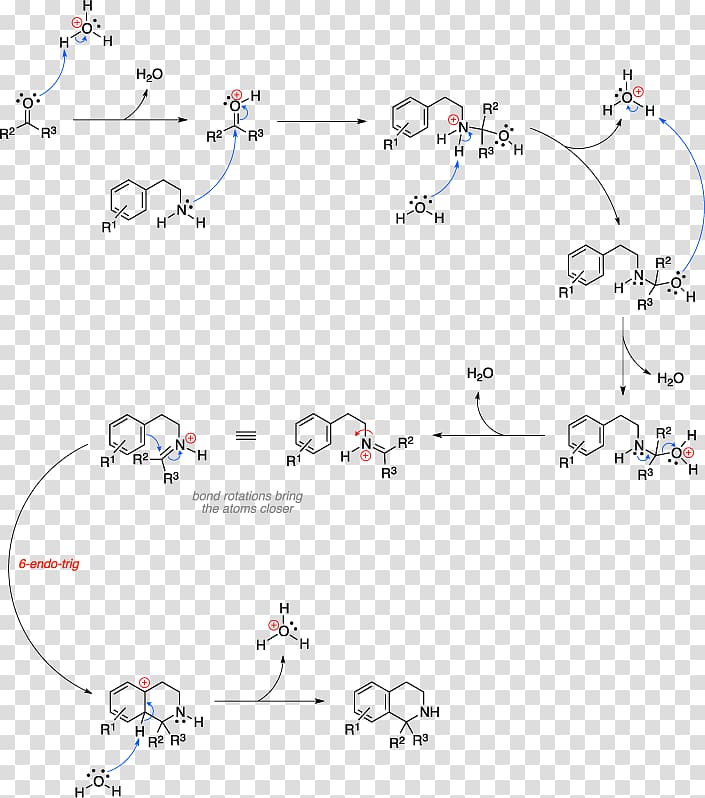 Pictet–Spengler reaction Isoquinoline Organic chemistry Chemical synthesis Organic synthesis, Biginelli Reaction transparent background PNG clipart