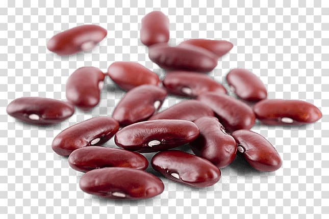 Kidney beans transparent background PNG clipart