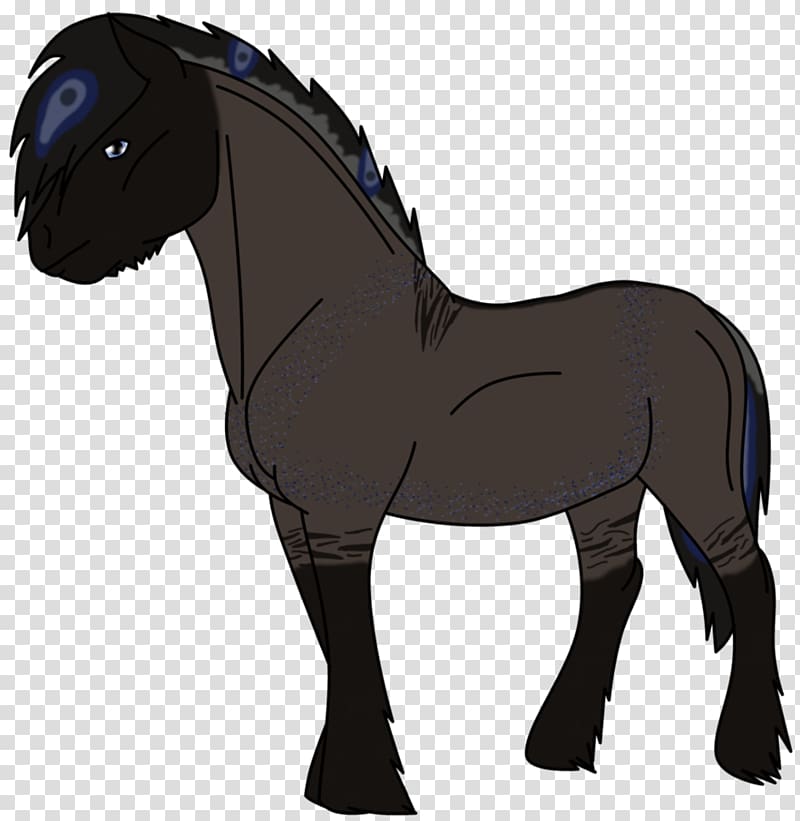 Mane Stallion Foal Mustang Colt, orphan black transparent background PNG clipart